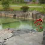 Zen Garden Resort, Апартаменты