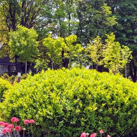Zen Garden Resort, * Zanka